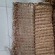 乌鲁木齐椰网图