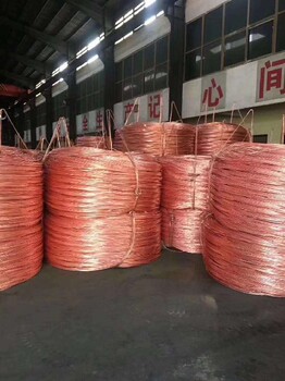 浙江電纜回收,240平方電纜回收