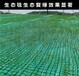 錫林郭勒盟植被毯生產(chǎn)廠家植物纖維毯四平植被毯廠家直銷