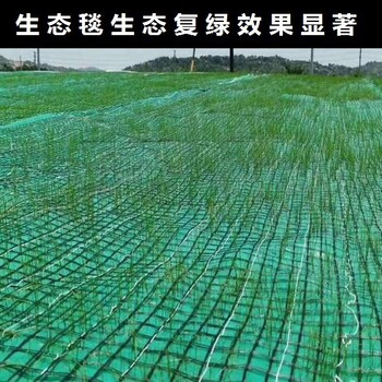 浙江金华河道边坡治理绿维椰丝毯