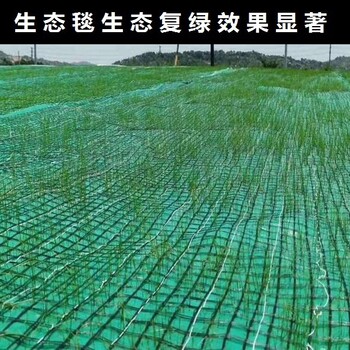 植被复绿抗冲生态毯荒山植被防护