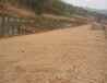 绿化护坡植被毯河堤治理