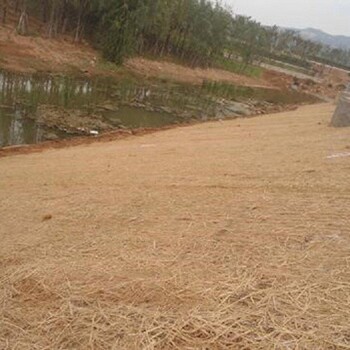 北京石景山矿山植被恢复绿维椰丝毯