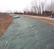 錫林郭勒盟植被毯生產廠家植物纖維毯通遼植被毯廠家直銷