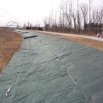 江西吉安高速路边坡防护绿维椰丝毯