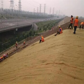 北京大兴高边坡防护绿维椰丝毯