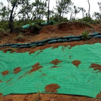 恢复植被绿化椰丝植生毯公路路基边坡防护