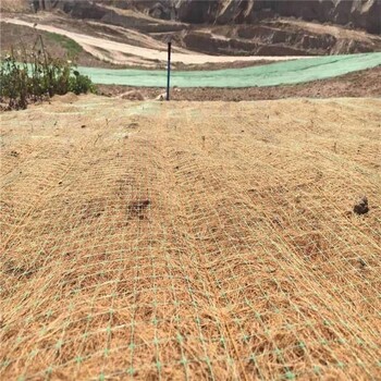 江苏泰州高速路边坡防护绿维椰丝毯