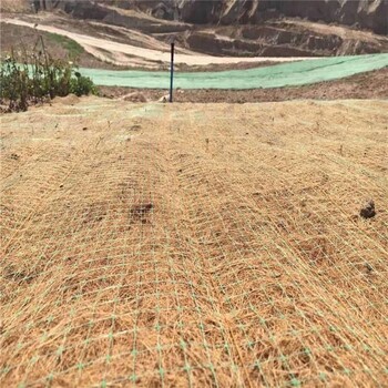 內(nèi)蒙古錫林郭勒盟稻草毯河道護坡稻草毯廠家電話椰絲復合毯