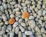 鄂尔多斯轻质文化石陶粒图片