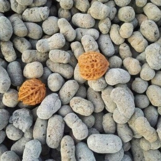 长治页岩文化石陶粒多少钱一平方