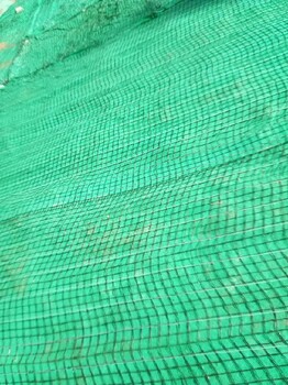 北京大兴高边坡防护绿维椰丝毯