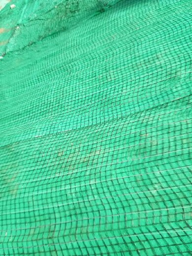 上海卢湾水土流失治理绿维椰丝毯
