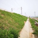 上海寶山高速路邊坡防護(hù)綠維椰絲毯