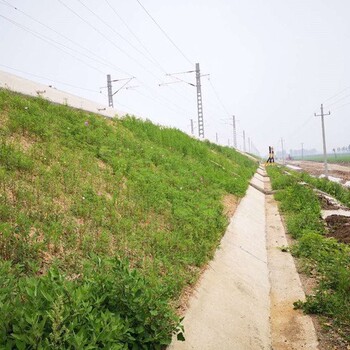 呼伦贝尔高速路边坡绿化秸秆草毯保温保湿使草籽快速生长