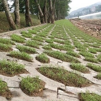 貴州海岸生態(tài)護(hù)坡