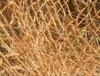 呼和浩特椰网厂家电话椰纤维网高陡边坡植被防护椰网
