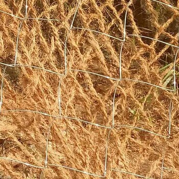 大兴安岭椰网厂家直销椰丝网固土绿化椰网
