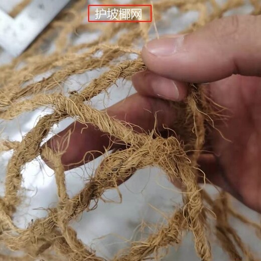 阿拉善盟椰网厂家椰纤维网高速路边坡防护椰网