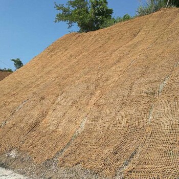 乌兰察布椰网生产厂家椰丝网荒山山坡绿化椰网