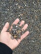 乌海文化石陶粒多少钱图片