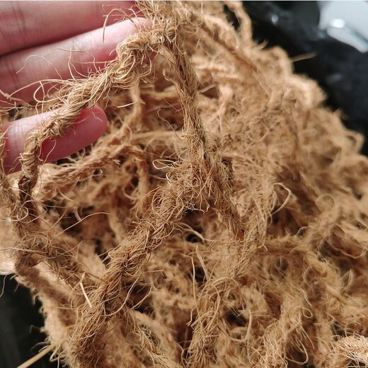 齐齐哈尔椰网厂家椰纤维网边坡生态治理椰网