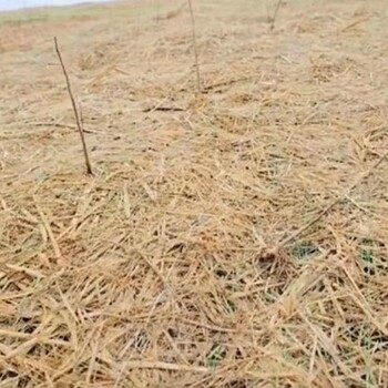 内蒙古锡林郭勒盟稻草毯河岸绿化防护稻草毯厂家电话椰丝复合毯