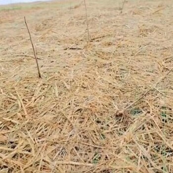 內(nèi)蒙古錫林郭勒盟稻草毯高邊坡固體綠化稻草毯廠家電話椰絲毯