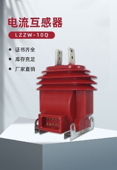 供應戶外電流互感器LZW-10廠家價格