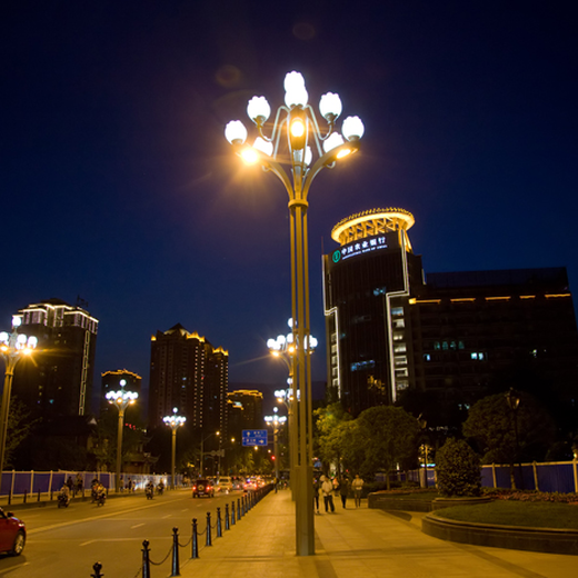 四川泸州玉兰灯设计安装大型景观玉兰灯生产定制
