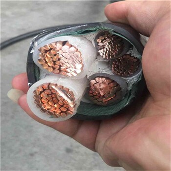 安徽合肥帶皮電纜回收廠家