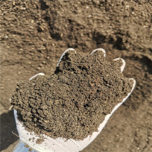 臨沂種植土哪里有賣