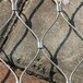 新疆钢丝绳装饰网厂家奎屯装饰网可做防护使用