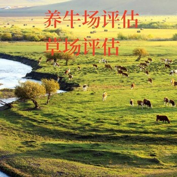 天津正規(guī)技術(shù)入股評估