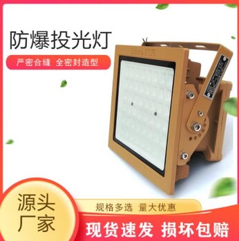 LED防爆投光燈IP68戶外應急防爆燈工廠倉庫100w泛光燈套件