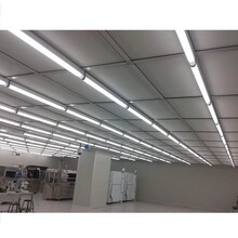 雙管淚珠潔凈燈單管淚珠凈化燈黃光一體化淚滴燈廠家圖片