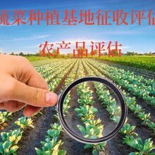 麗水城中村改造評估，征地補償標準，狐貍廠拆遷評估
