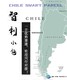 深圳智利专线图