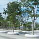 樹(shù)池坐凳廠(chǎng)家加工圖