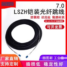 丽图斯SC-LC不锈钢铠装光纤跳线单模单芯，金属软管光缆图片