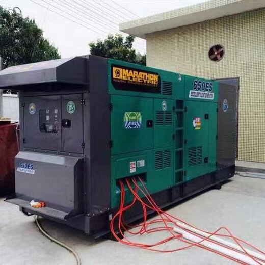 北京埃尔曼发电机发电机回收服务周到