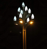 四川德陽玉蘭燈設計安裝LED道路燈