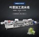 預制菜加工流水線貴州葉菜類凈菜加工流水線廠家價格