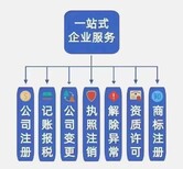 禅城注册公司代办-乐从营业执照办理代办图片2