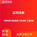 武漢洪山注冊公司-代理記賬-全程二對一服務