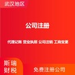 武汉洪山注册公司-代理记账-全程二对一服务图片