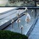 魚雕塑圖