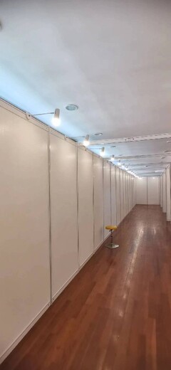 上海學(xué)?；顒?dòng)中心展板畫(huà)板出租租借畫(huà)板