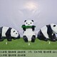 广东不锈钢几何熊猫雕塑现货产品图