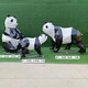 貴州玻璃鋼切面熊貓雕塑定做產(chǎn)品圖